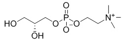 L-a-glycerylphosphorylcholine